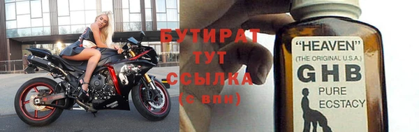 индика Новодвинск
