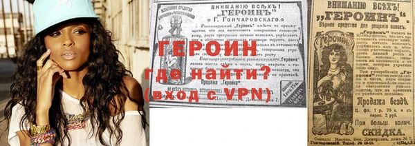 индика Новодвинск