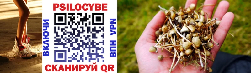Псилоцибиновые грибы мицелий  Кущёвская 